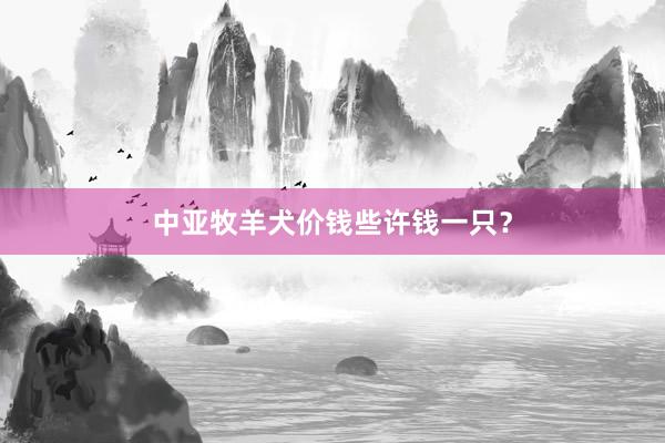 中亚牧羊犬价钱些许钱一只？